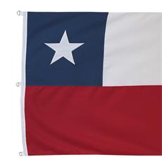 Bandera 290x450 est. bordada