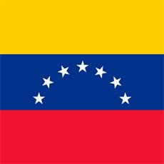 Bandera venezuela historica