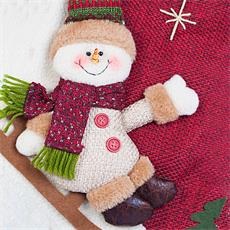 BOTA SNOW 2532