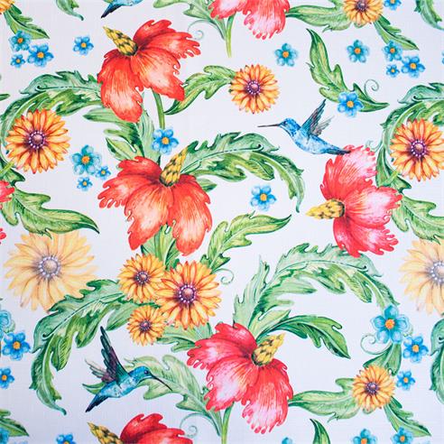 Linette est. "colibri"  1.60 mt.