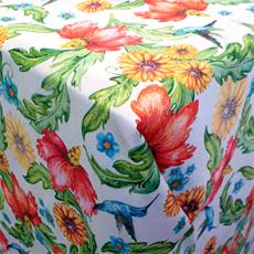 Linette est. "colibri"  1.60 mt.