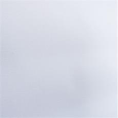 COLOR BLANCO