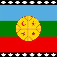 BANDERA EST. MAPUCHE 90 X 150