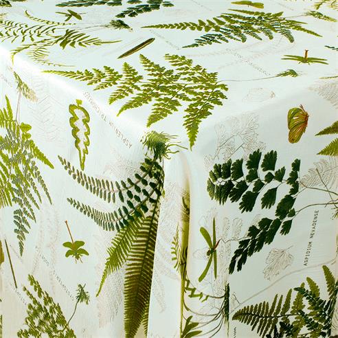 LINETTE BOTANICA 2
