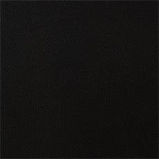 COLOR NEGRO