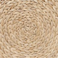 Individual "17253" -  d:38cm
