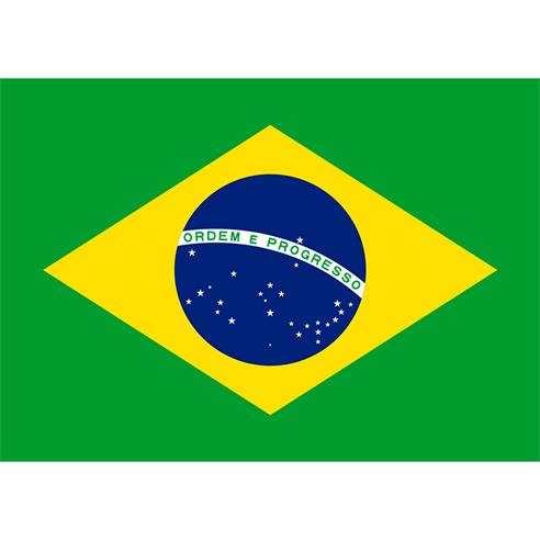 Bandera brasil est. 60x90