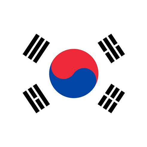 Bandera corea est. 60x90