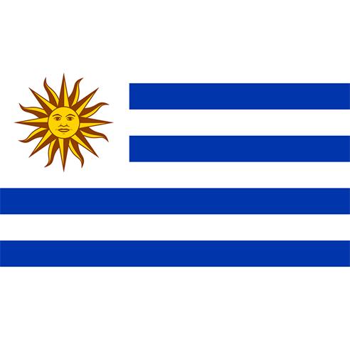 Bandera uruguay est. 60x90