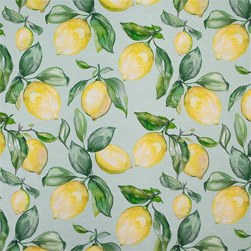 Linette est. "limoncello"  1.60 mt.