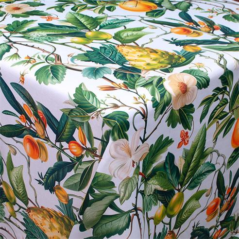 Linette est. "paraiso"  1.60 mt. 2