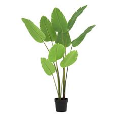 Planta art. ave del paraiso 01 - 174cm