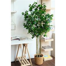 Planta art. ficus 01 - 173cm