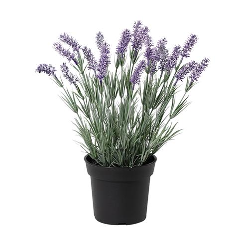 Planta art. lavanda 01 - 40cm