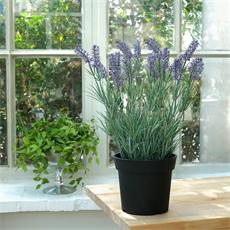 Planta art. lavanda 01 - 40cm