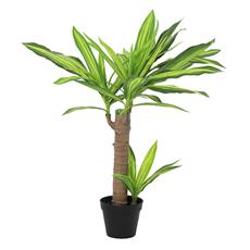 Planta art. palo de agua 01 - 86cm