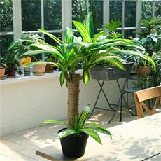 Planta art. palo de agua 01 - 86cm