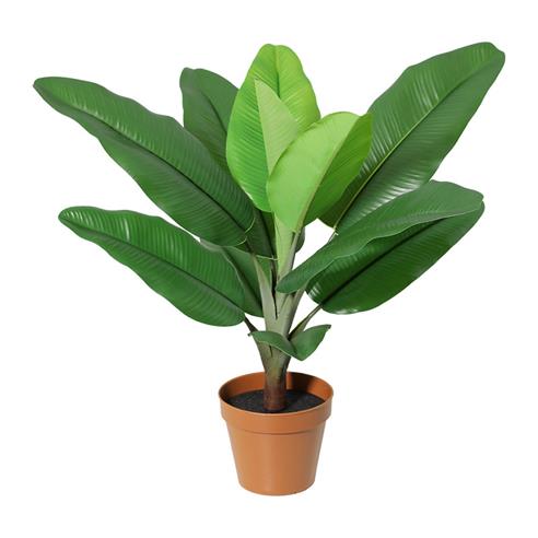 Planta art. platanero 01 - 47cm
