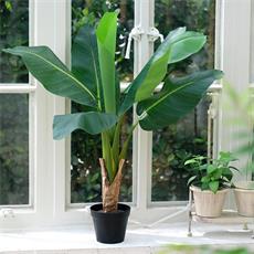 Planta art. platanero 02 - 90cm