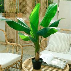 Planta art. platanero 02 - 90cm
