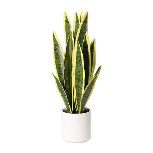 Planta art. sanseviera 01 - 54cm