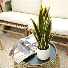 Planta art. sanseviera 01 - 54cm