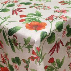 Linette rep. agua "natura" 1.60 mtr.