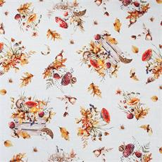 Linette rep. agua "erizo" 1.60 mtr.