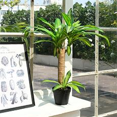 Plantas Artificiales